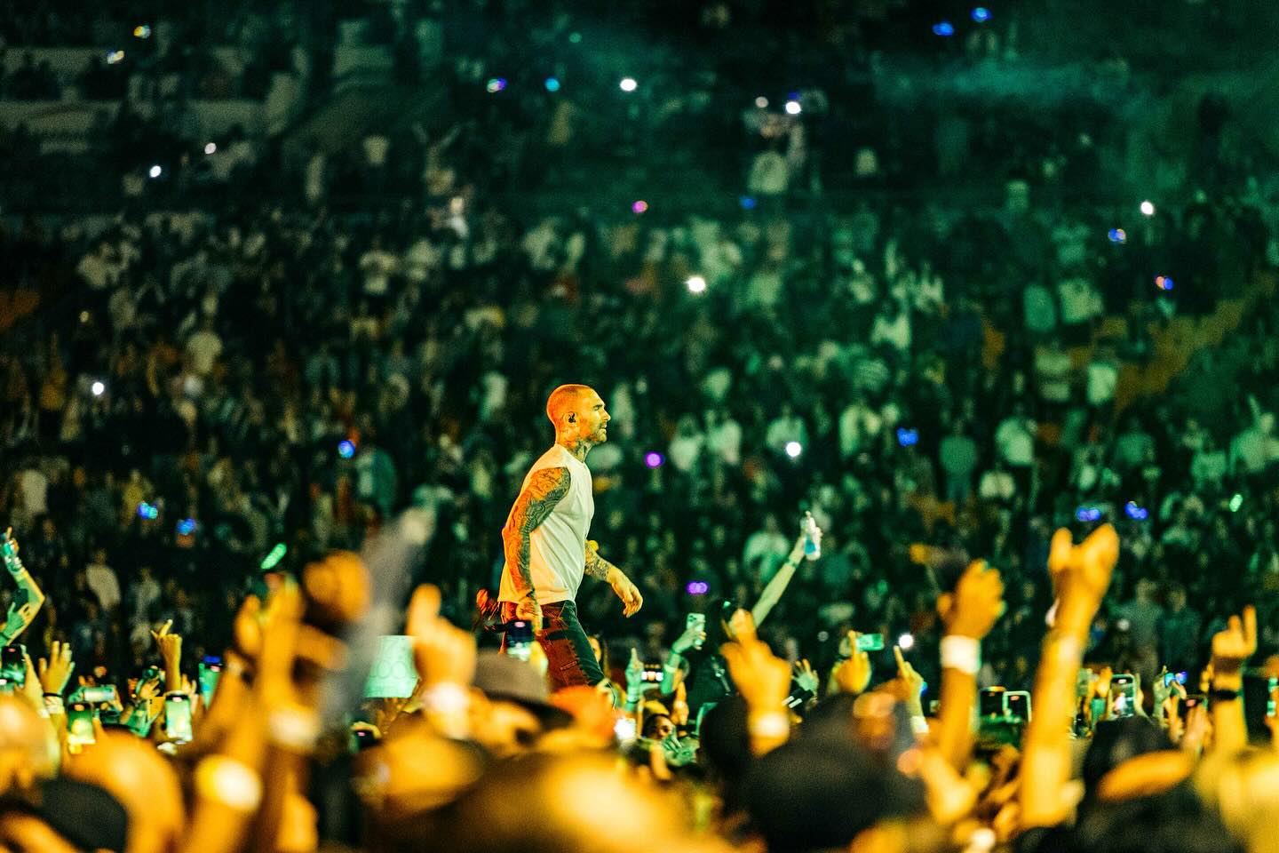 Singer performing on stage at a large-scale music concert in South Africa with a massive crowd and dramatic production lighting.